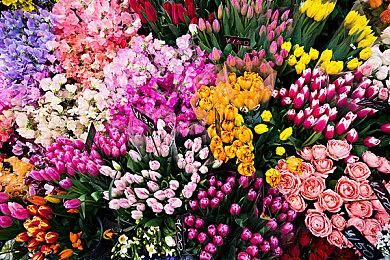 《苍白花树繁茂之时》制作杂谈：挖坑一时爽，填坑火葬场