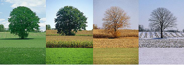 《小缇娜的奇幻之地》首个DLC预告 4月21日上线